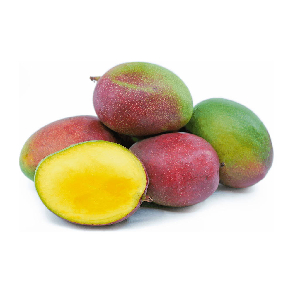 Mango Case - 12 Count - Haden